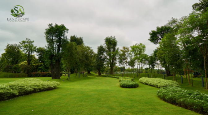 Why Hire Professional Landscapers for Your Outdoor Renovation?
