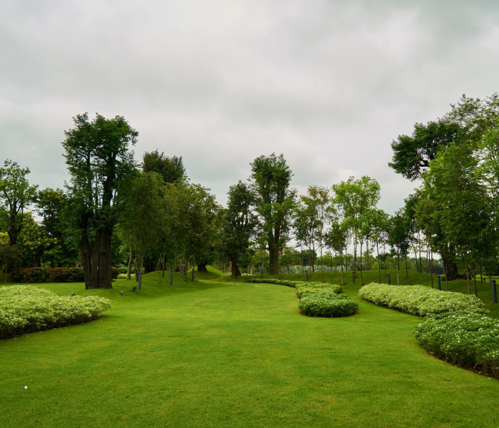 professional landscaping