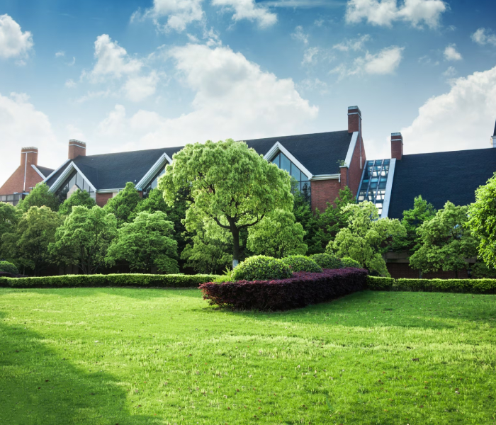 Experienced landscaping professionals